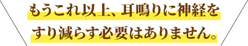 もうこれ以上耳鳴りに神経をすり減らす必要はありません。